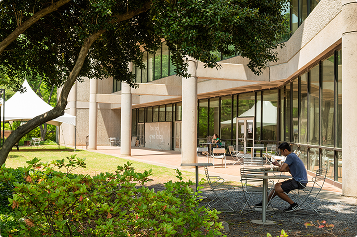a design students sits at a table shaded by a tree