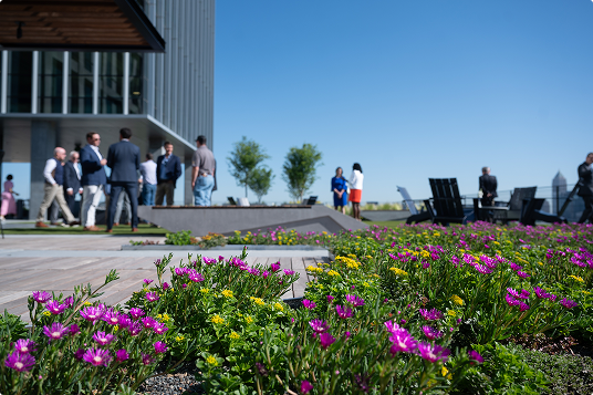 People standing about in the rooftop garden, with flowers in the forefront