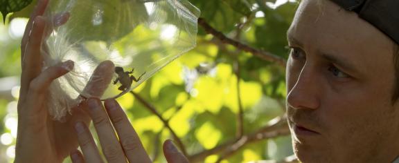 James Stroud examines an anole (Day’s Edge Productions)