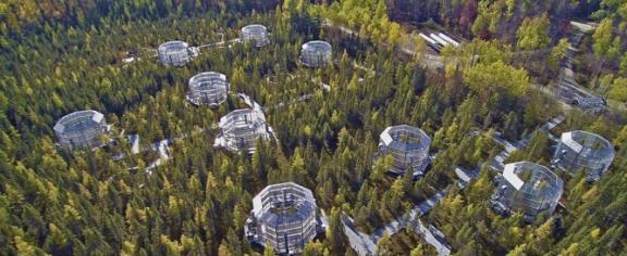 An aerial photo of the SPRUCE experiment.