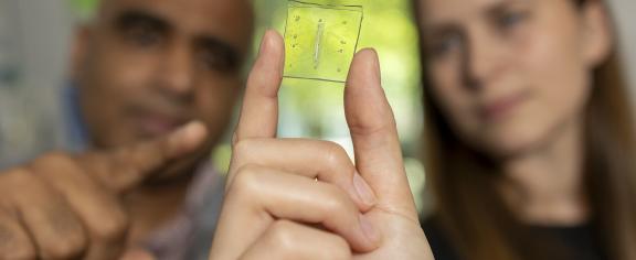 Lung-on-a-Chip With Immune System